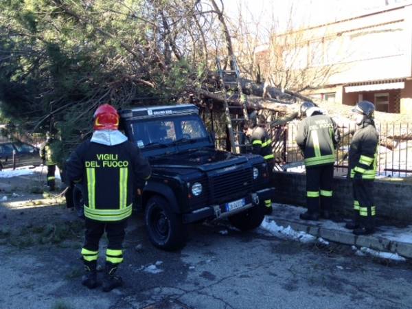 Forte vento, albero cade su un'auto (inserita in galleria)