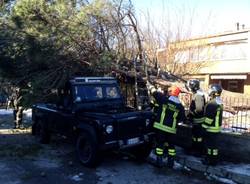 Forte vento, albero cade su un'auto (inserita in galleria)