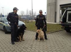 Guardia di finanza al Liceo Curie (inserita in galleria)