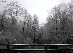 Il Lago di Ghirla sotto la neve  (inserita in galleria)