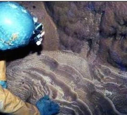 IL mondo delle grotte (inserita in galleria)