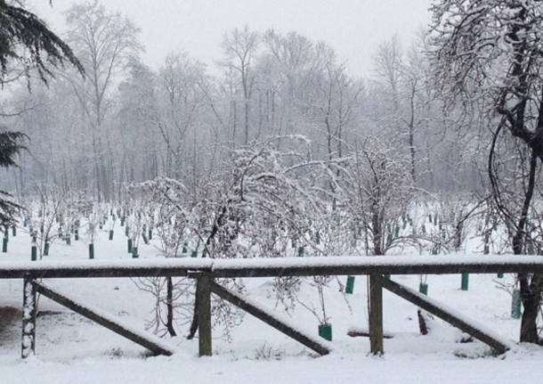 La neve a Busto Arsizio e in Valle Olona (inserita in galleria)