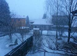 La neve dei lettori (inserita in galleria)