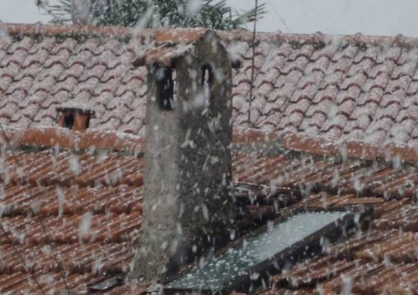 La neve dei lettori (inserita in galleria)