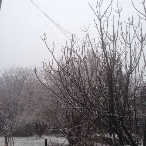 La neve del sabato Grasso (inserita in galleria)