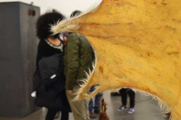 La nuova mostra al Museo Maga (inserita in galleria)