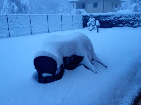 Neve, neve e ancora neve (inserita in galleria)