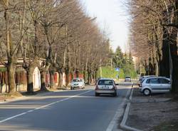 viale 24 maggio gallarate cedrate