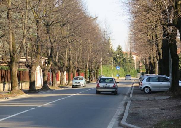 viale 24 maggio gallarate cedrate