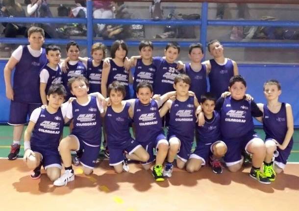 Basket minore
