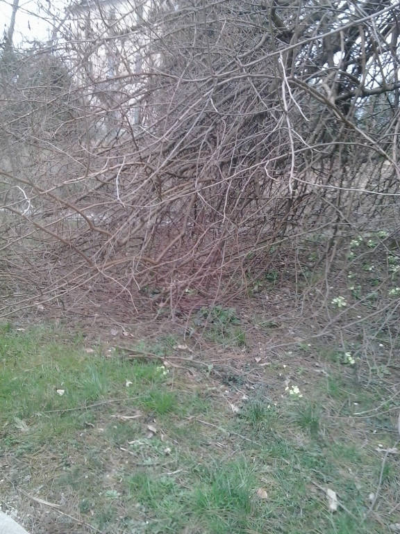 SCOPRI IL PARCO PUBBLICO \"PIU\' MALTENUTO\"
