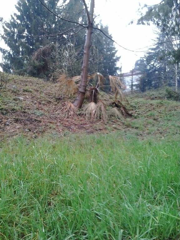 .....CONTINUA.....IL PARCO PUBBLICO PIU\' MAL TENUTO