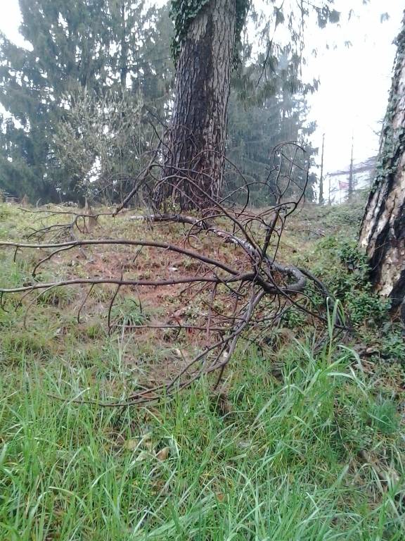 .....CONTINUA.....IL PARCO PUBBLICO PIU\' MAL TENUTO