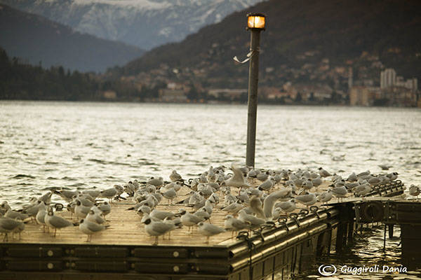 aspettando il tramonto