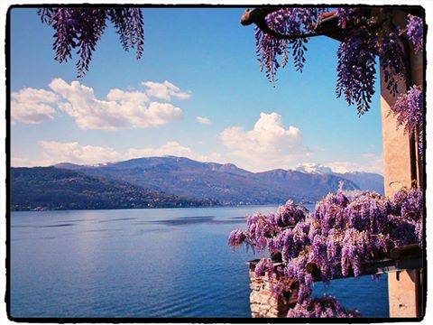 Il glicine in fiore a Santa Caterina del Sasso