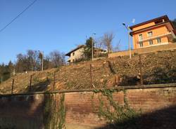 collina alberi tagliati via dembowski