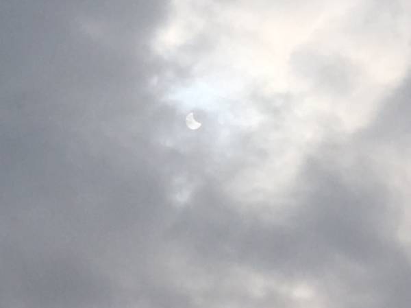 eclissi di sole, varese, giardini estensi