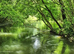 Il Fiume di Bartello