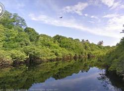 foresta amazzonia viaggio virtuale con street view