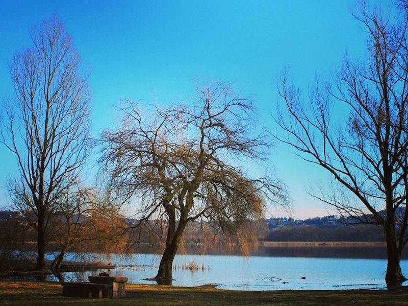 Il Lago di Varese