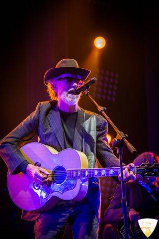 francesco de gregori