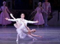 galà danza
