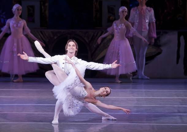 galà danza