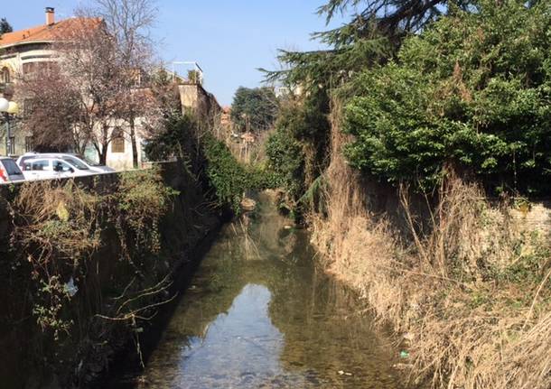 Gallarate ponte zat giuliano mauri