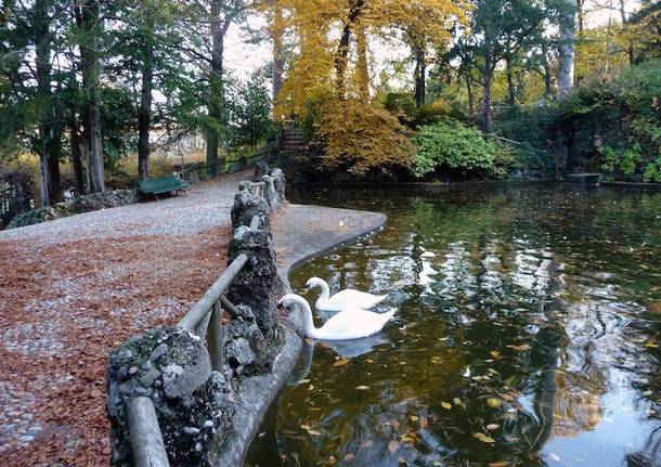 Giardini estensi