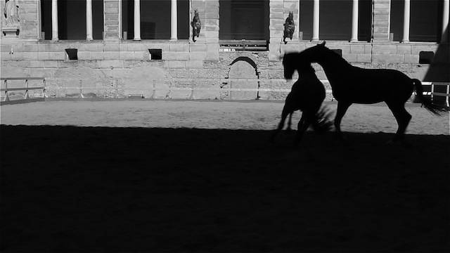 Il documentario "Saga" di Paolo Boriani