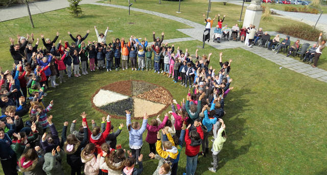 kaki albero festeggia 15 anni morosolo