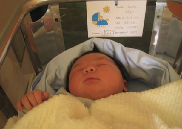 Benvenuto Lucio