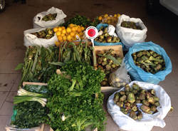 sequestro verdure polizia locale rho