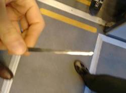 Trenord