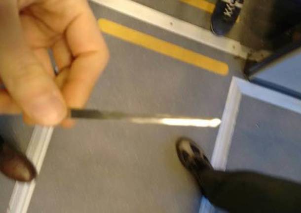 Trenord