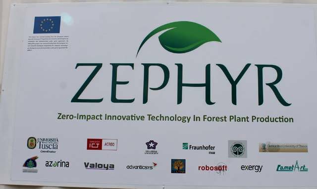 zephir