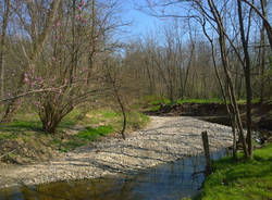 Bosco del Rugareto