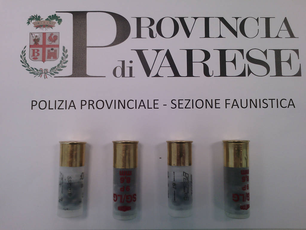 bracconaggio 17 aprile 2015 