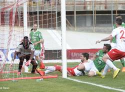 calcio varese avellino