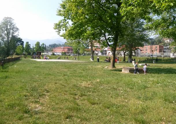 parco laveno  gaggetto lasciato allo sbando....