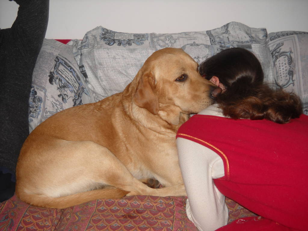 QUI VIVE UN CANE