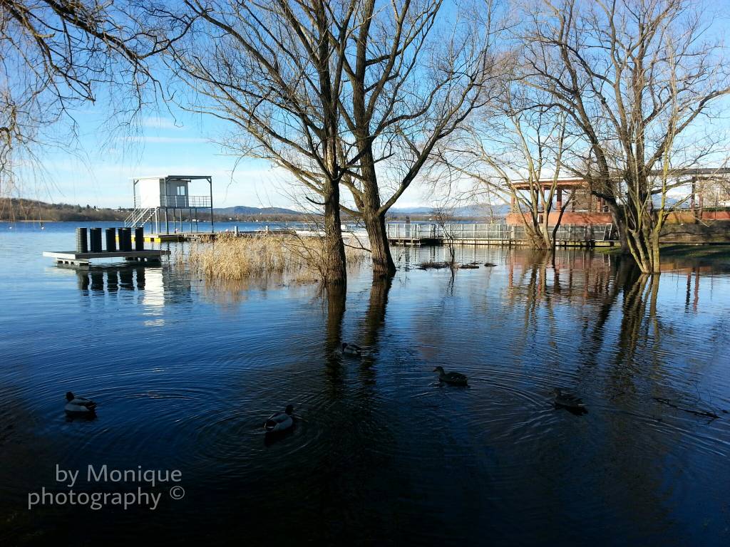 Lago di Varese, Localita\' Schiranna