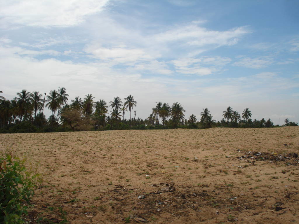 Le mie vacanze africane