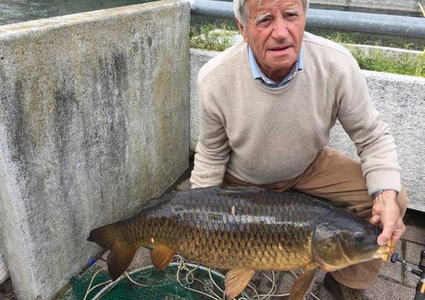 Pescata sul Tresa una carpa di quasi 30 chili