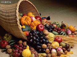 Cibo expo