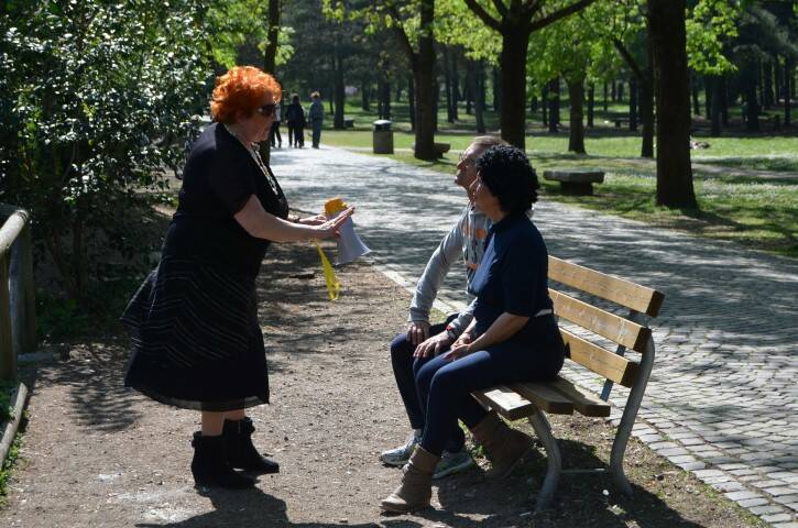 DSC 0035