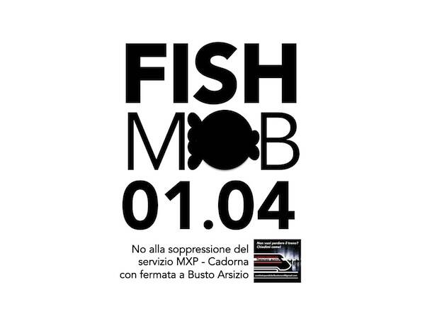 Fish Mob