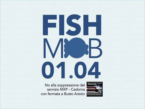 Fish Mob 2