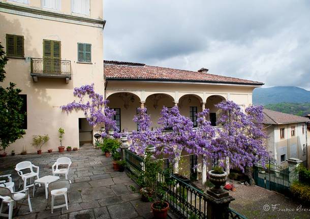 Il glicine di Castello Cabiaglio