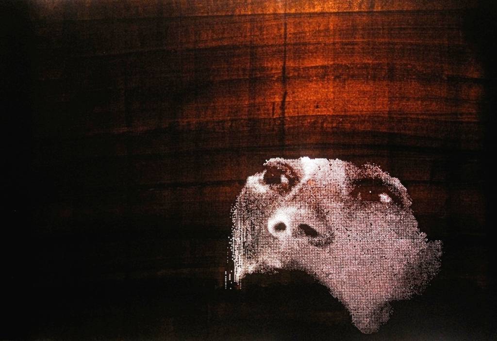 gabriela butti mostra induno olona